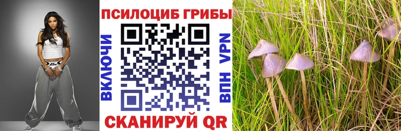 наркота  Томари  Псилоцибиновые грибы Psilocybine cubensis 